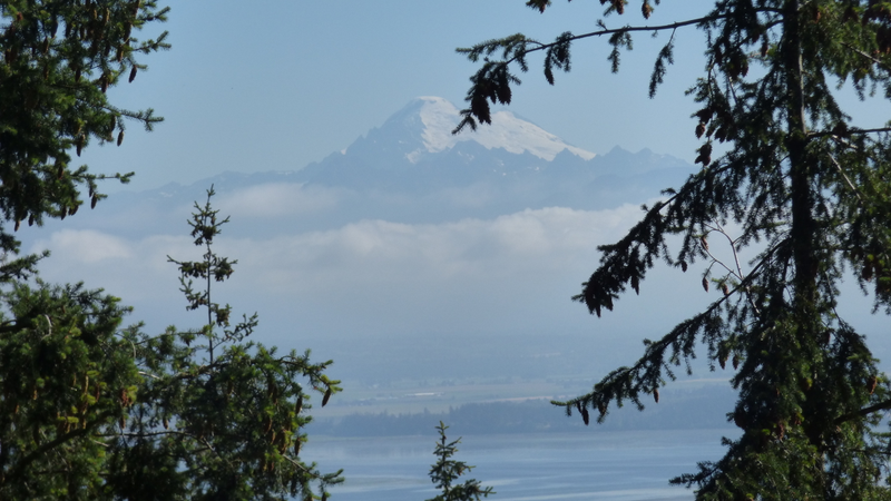 Illustration for article titled Pacific NW pics
